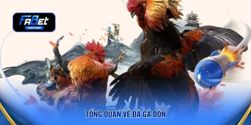 Tổng quan về đá gà đòn