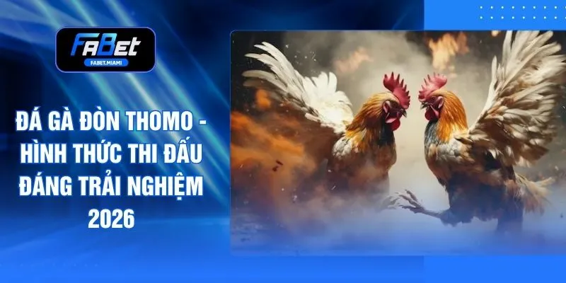 Đá Gà Đòn Thomo - Hình Thức Thi Đấu Đáng Trải Nghiệm 2026